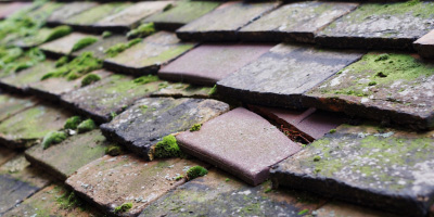 Hadnall roof repair costs